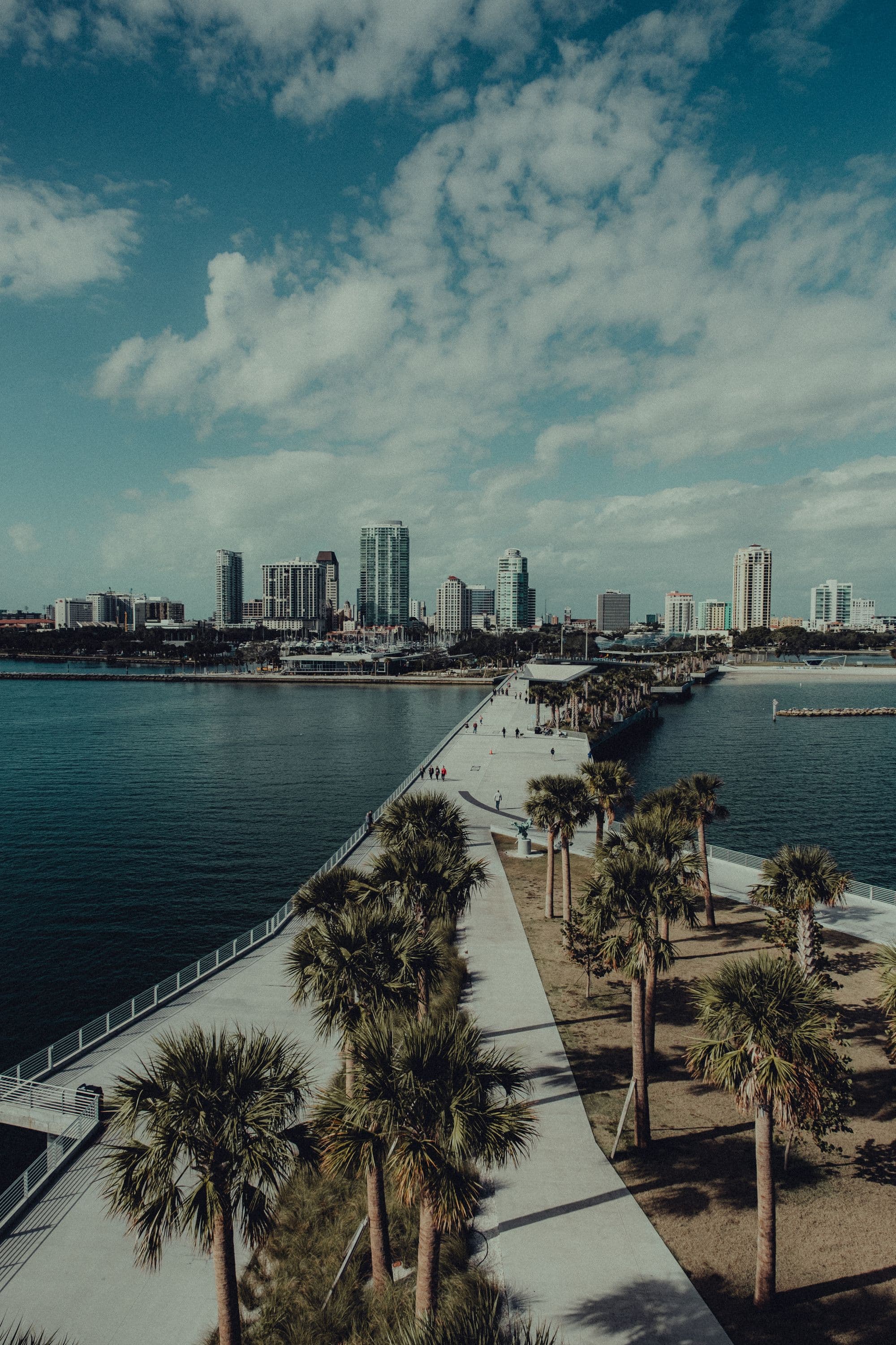 The St. Petersburg waterfront, its skyline behind a palm-lined path.